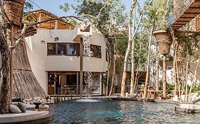Taio Tulum